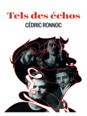 cover image of Tels des échos